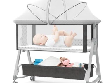 Baby Gear Best Bassinet