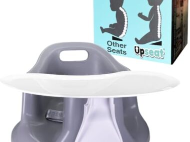 Baby Gear Lab Best Booster Seat