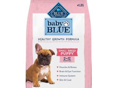 Best Baby Food for Dogs