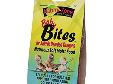 Best Food for Baby Bearded Dragons