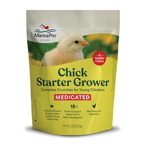 Best Food for Baby Chicks