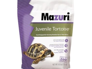 Best Food for Baby Sulcata Tortoise